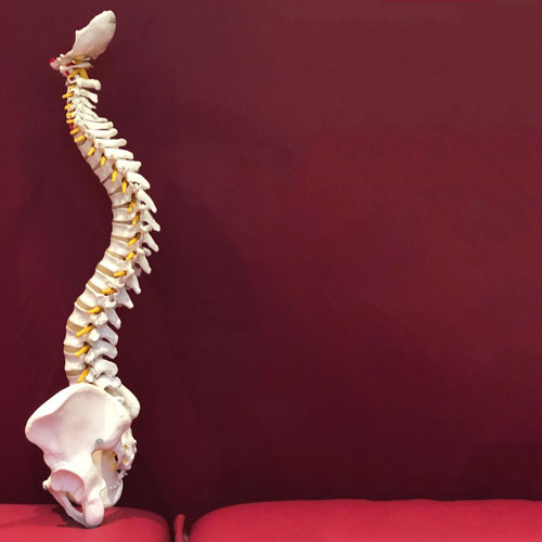 Fisioterapia y osteopatía